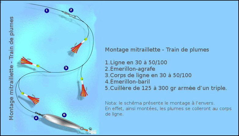 Mitraillette - Train de plumes